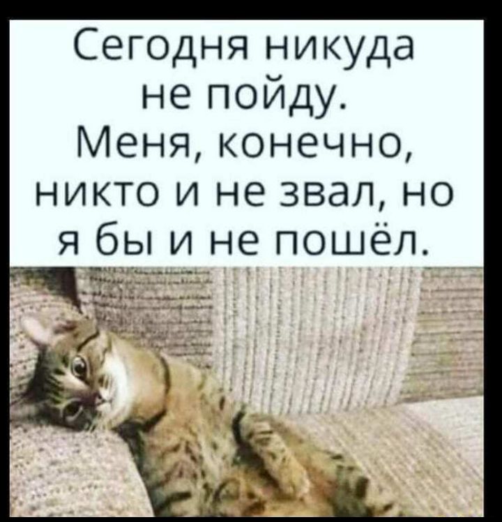 Сегодня никуда не пойду Меня конечно НИКТО И не звал НО