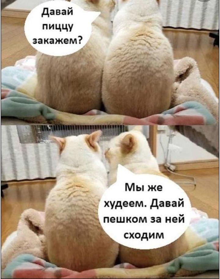 давай _ ИЧЧУ закажем худеем давай в Ъ пешком за неи сходим
