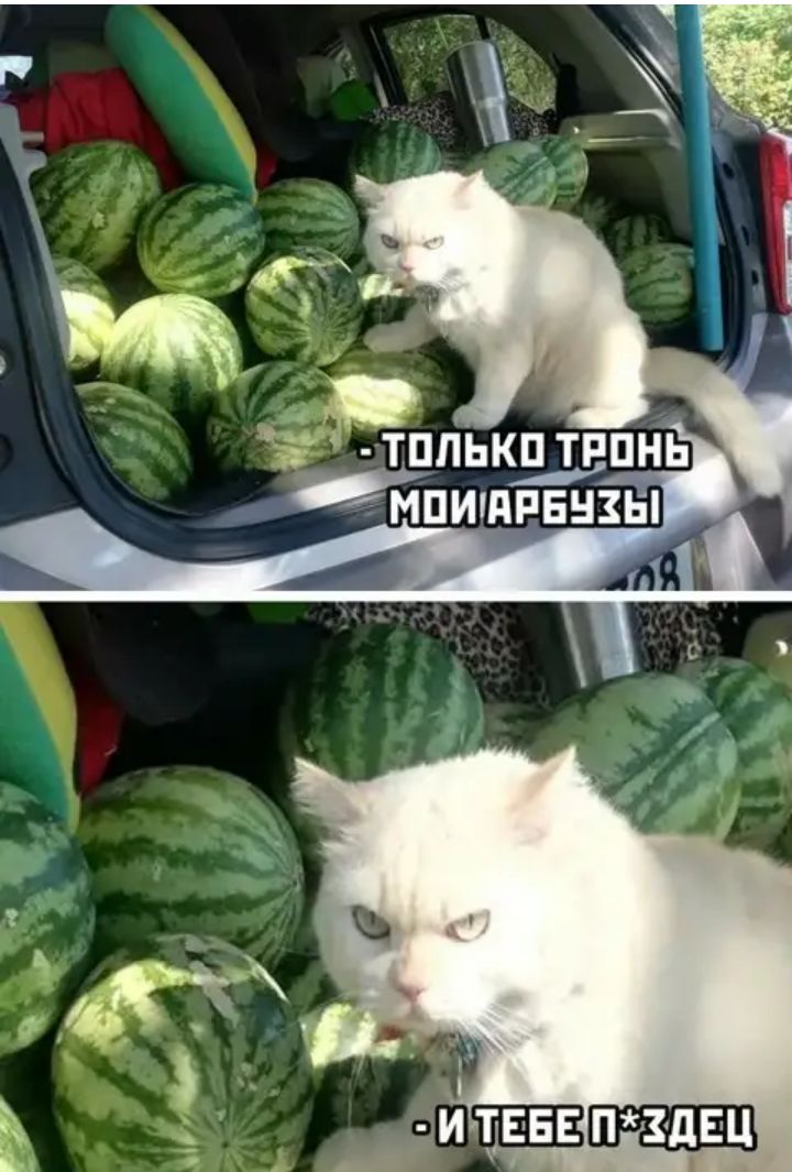 д тппь Йан А