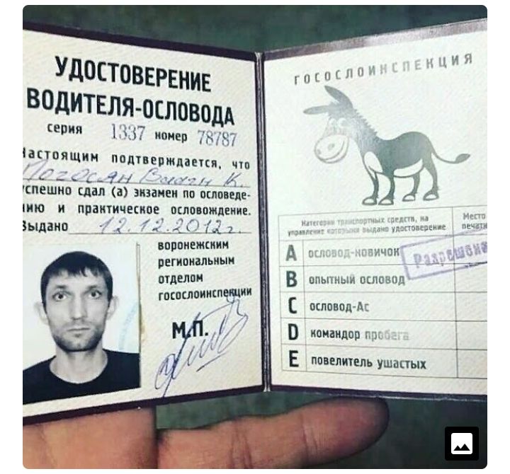 Удостоввгвнив водИТЕЛЯОЕЛОВОДА сепия г номер НЪЧ іёктоящин попиепмцаепя ччп ______ іг 711 пешнп дня в мини по пшппцъ то и ппаитицекипе пкловпжпеииъ ч ыдано _ а_кцдд ъ принципи так регцпиальиыи г Шелин В цпьпныи пишзпд они _ д ШШШ ті всппвпд А і 0 исмаилпв г Е ппвыичепь ушапых
