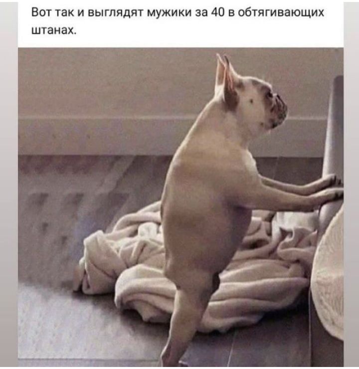 Вот так и выгпя мужики за 40 в обтягивающих штанах
