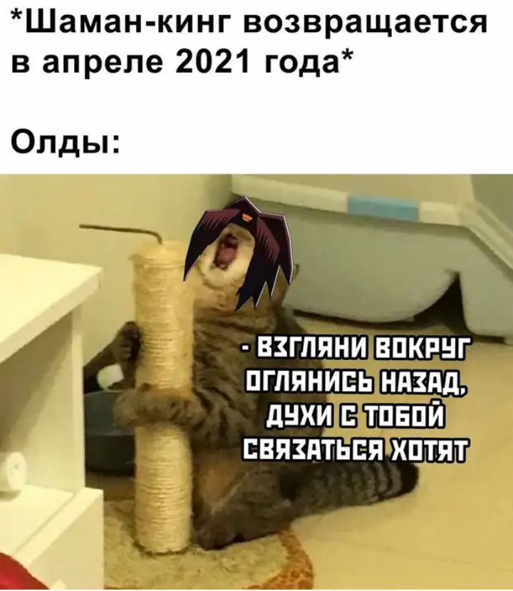 Шаман кинг возвращается вапреле2021года Олды пгпянивь 315 днхи БПЕШШ