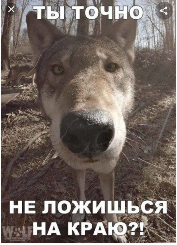 не ложищэ НА КРАЙ