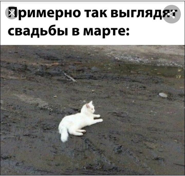 Примерно так выглядят свадьбы в марте