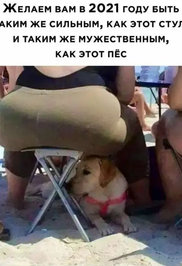 ЖЕЛАЕМ ВАМ в 2021 году БЫТЬ ким ЖЕ сильным КАК этот сту и ТАКИМ же мужественным КАК этот пёс