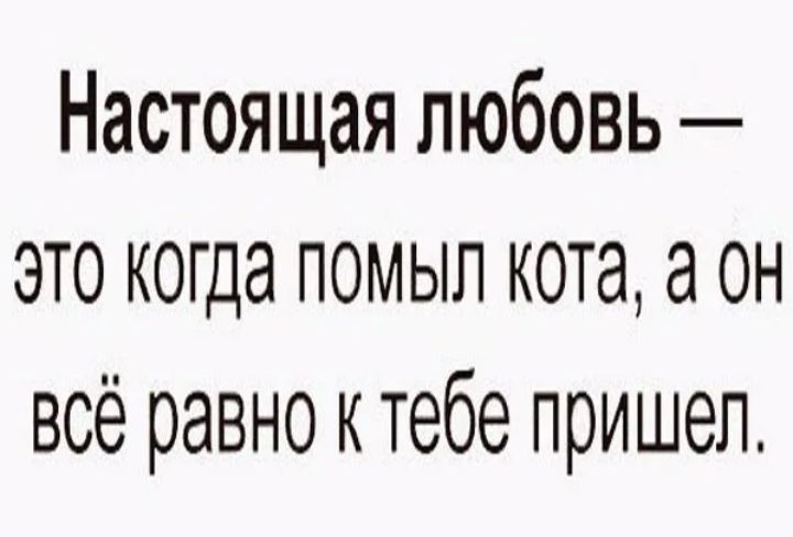 Настоящая любовь это когда помыл кота а он всё равно ктебе пришел