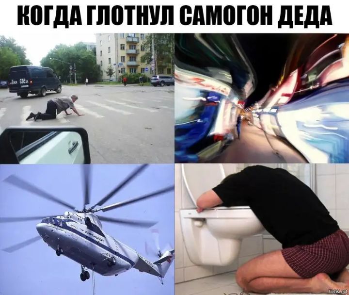 НШДА ПЮТШШ ВАМПШН дЕдд