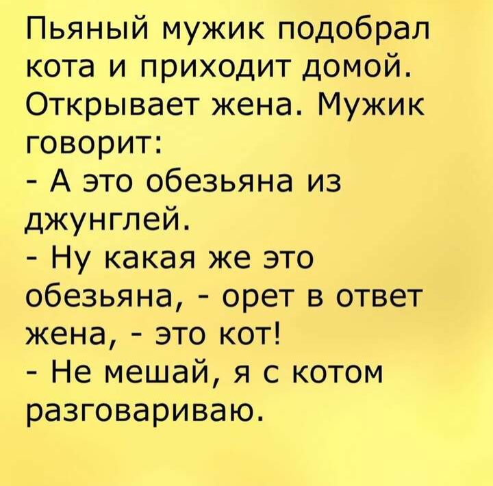 Пьяный мужик подобрал кота и приходит домой Открывает жена Мужик говорит А это обезьяна из джунглей Ну какая же это обезьяна орет в ответ жена это кот Не мешай я с котом разговариваю