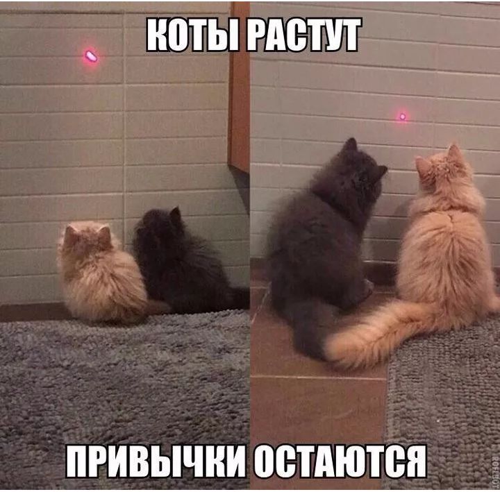 ЮТЫ РДВПП ПРИВЫЧНИ ПВТАЮТБП _