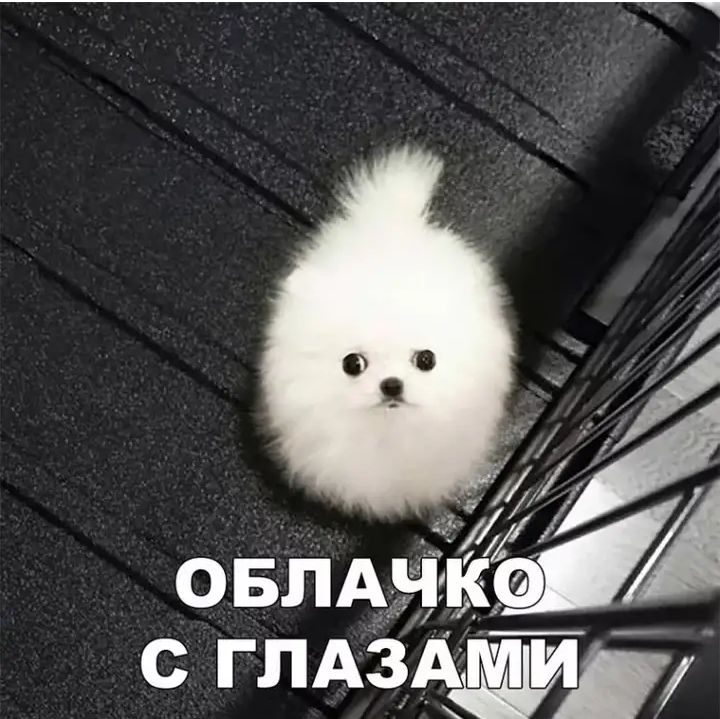 ш 44 А ОБЛАЩСЭ АЗЁЩЙЦЙЁ