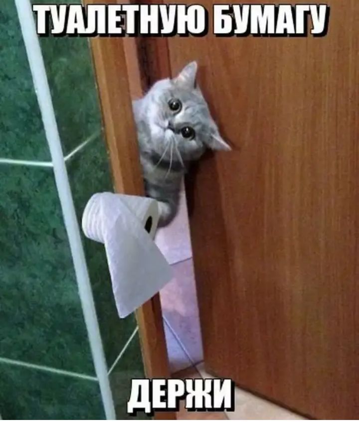ППШТШЮ БУМАГ