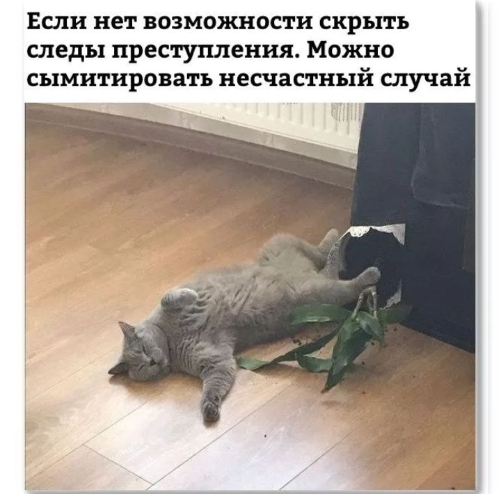 Если нет возможности скрыть следы преступления Можно сымитировать несчастный случай