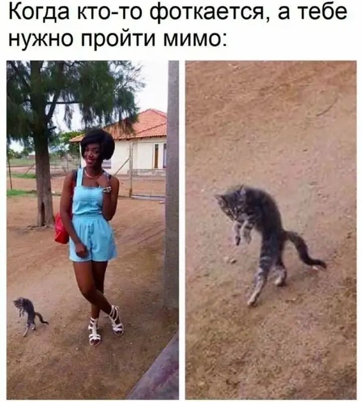 Когда кто то фоткается а тебе нужно пройти мимо