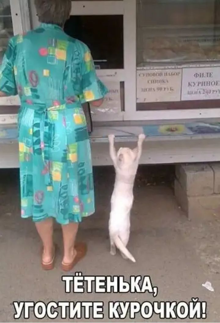 УГФСТИТЕ КУРОЧКФЙ
