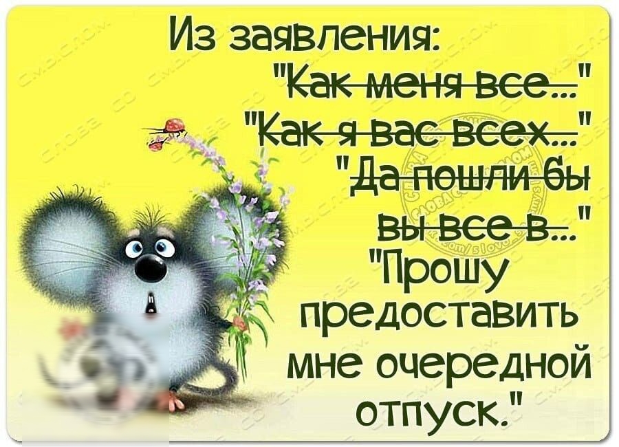 Из заявления Как выдвеевт г Прошу _ предоставить