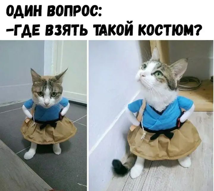 один вопрос ГАЕ взять шой костют