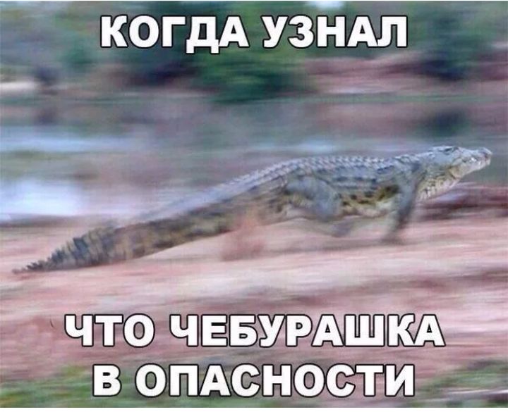 когдА узЁАл __1 НТОЁЧЕБУдРАШКА В ОПАСНОСТИ _