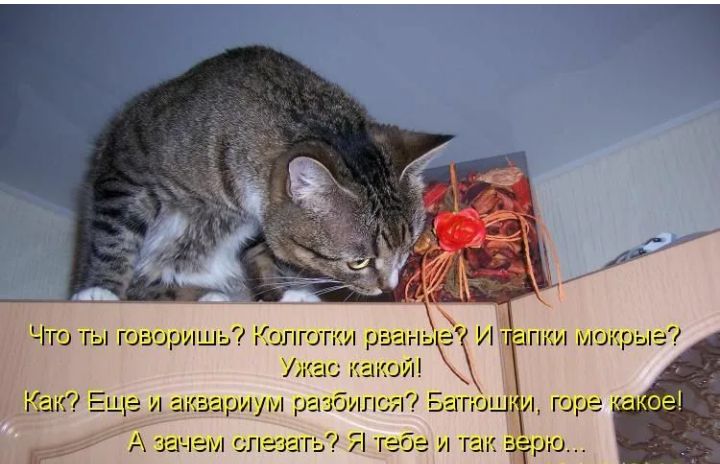 Что та говорищь? Колготки! Ужас какой! Иаквариум разбился? Батюи а зачем слезать? Атебе и та