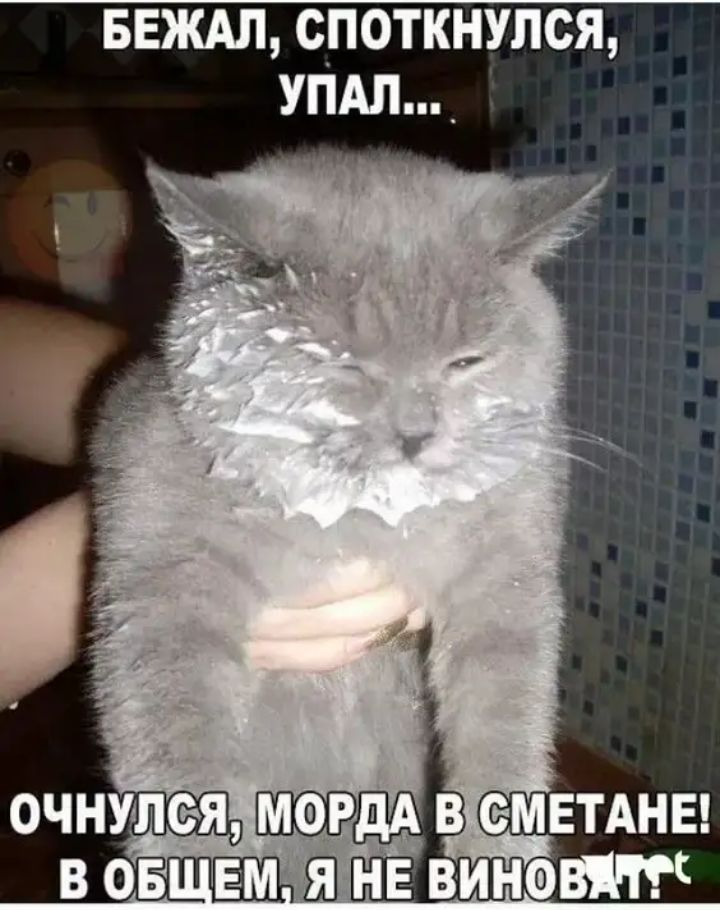 БЕЖАЛ СПОТКНУЛСЯ УПАЛ _