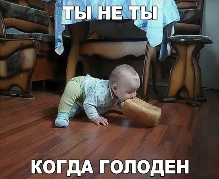 КОГДА ГОЛОДЕН