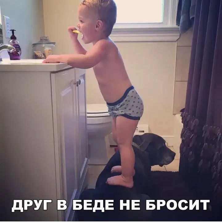 дРУГЁ БЕДЕ НЕ БРОСИТ