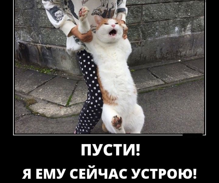 ПУСТИ Я ЕМУ СЕЙЧАС УСТРОЮ
