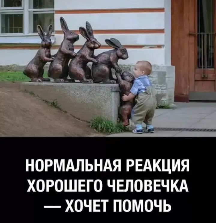 НОРМАЛЬНАЯ РЕАКЦИЯ ХОРОШЕГО ЧЕЛОВЕЧКА ХОЧЕТ ПОМОЧЬ