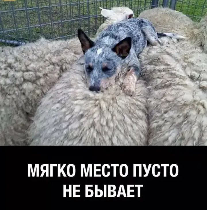 МЯГКО МЕСТО ПУСТО НЕ БЫВАЕТ