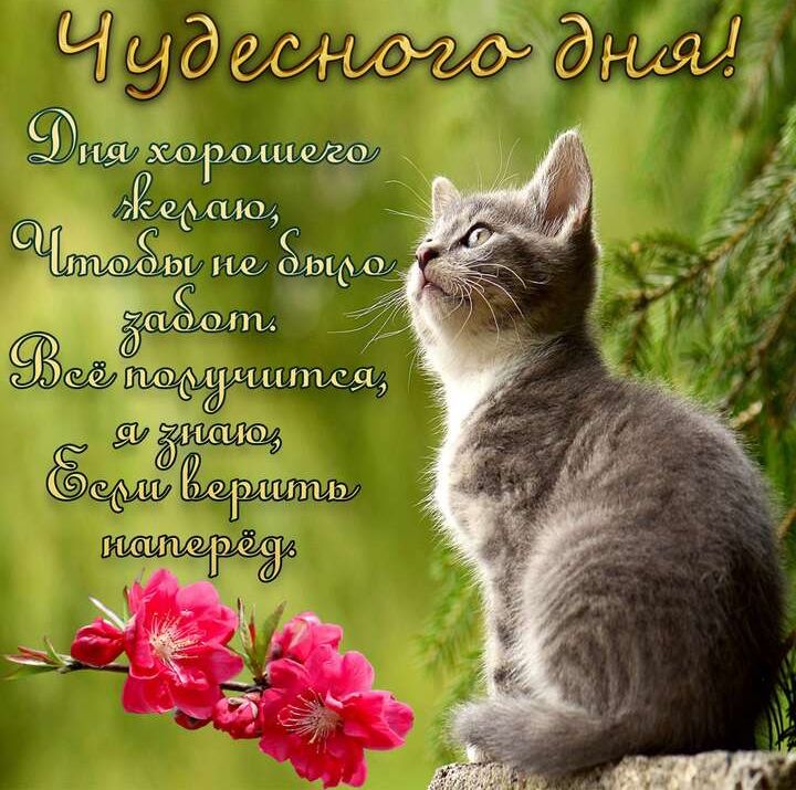 С од гоъьи''«дд нкайо рп ':'гцтииы ехо ', ераю,  ш 10е зшо