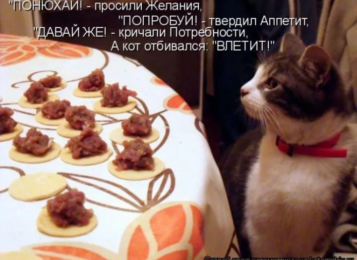 ПОНЮХАИ просили Желания ПОПРОБУЙ твердил Аппетит ЁАВАЙ ЖЕ кричапи Потребности А кот отбивался ВПЕТИТ