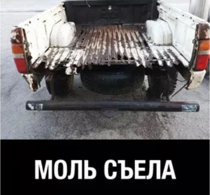 МОЛЬ СЪЕЛА