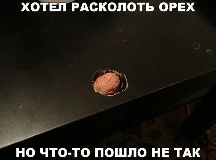 ХОТЕЛ РАСКОЛОТЬ ОРЕХ НО ЧТО ТО ПОШЛО НЕ ТАК