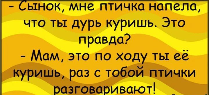 Мам этапоходутыеё 1 курить розетобойптичт