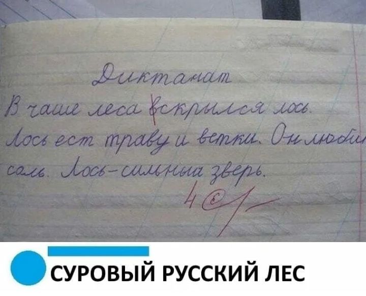 к _ ОСУРОВЫИ РУССКИИ ЛЕС