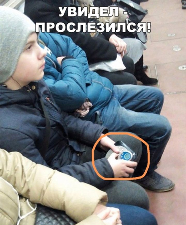 51 прорпёзипся