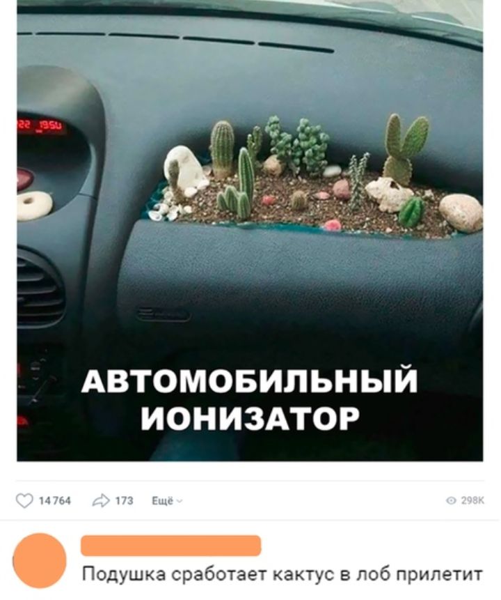 АВТОМОБИЛЬНЫЙ ИОНИЗАТОР Подушка сработает кактус в лоб прилетит