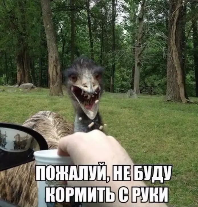 тапожшй ШЁЫШ тногмитьгчни