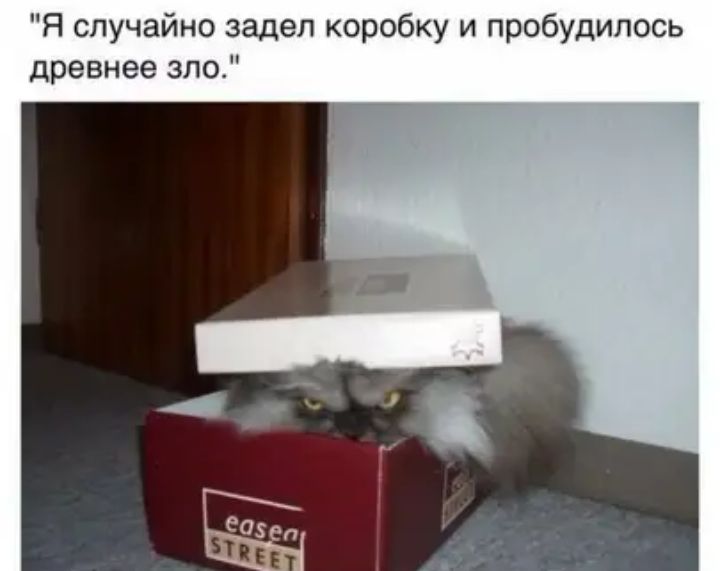 Я случайно задел коробку и пробудипось древнее зло