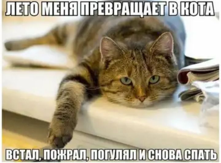 пгъвгдщдвт в ШШШ