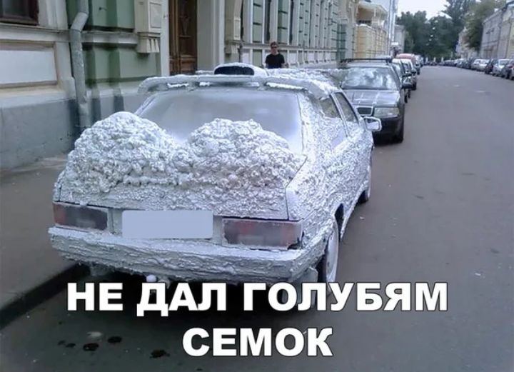 НЕ дАП ГОЛУБЯМ СЕМОК