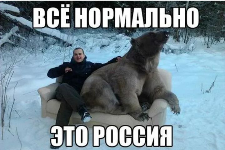 ВВЁ НПРШШЬНП