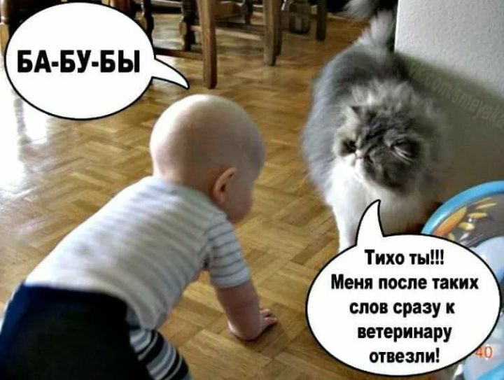 Тихо ты Меня после таких слов сразу к ветеринару отвезли