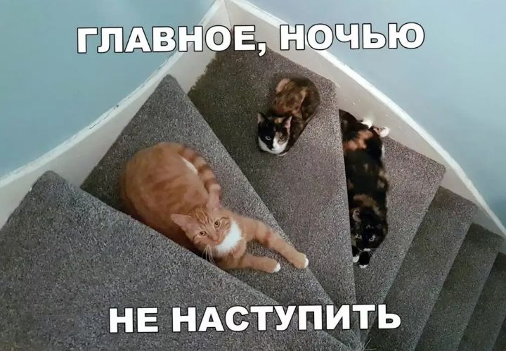 Не наступить