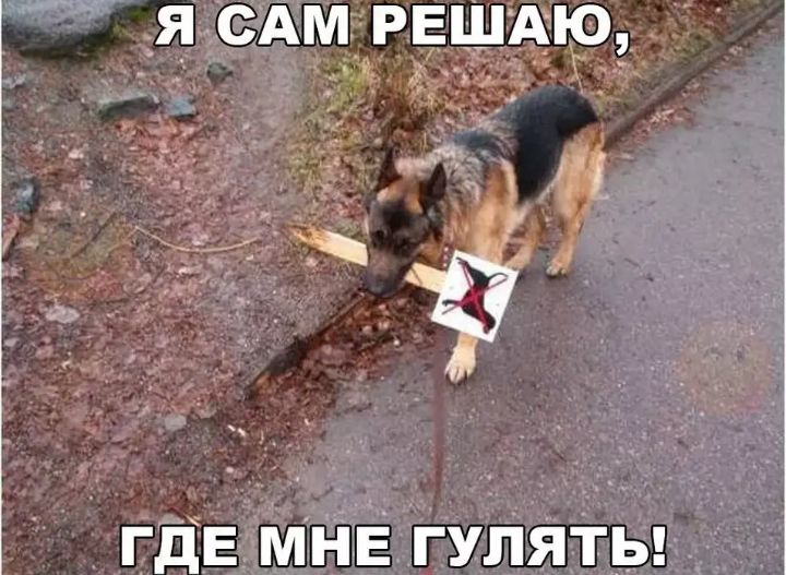 Я САМЕРЁШАЕРі г где МнГЁ ГУЛЯТЬ _