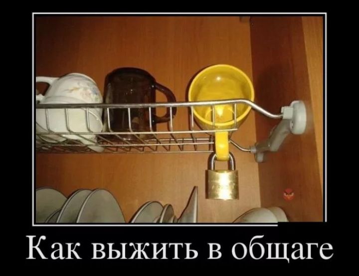 Как выжить в общаге