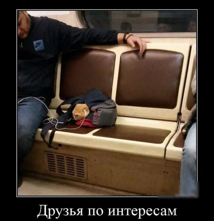 Друзья по интересам