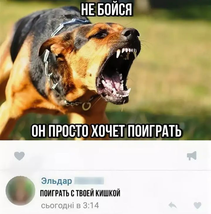 _ ОН ПРОСТО ХОЧЕТ ПОИГРАТЬ Эльдар ПОИГРАТЬСТВПЕЙ КИШКПЙ сьоюдш в 314