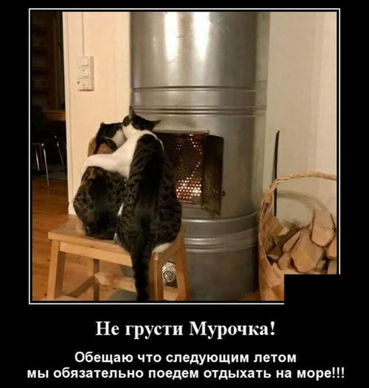 Не грусти Мурочка Обещаю что следующим летом мы обязательно поедем отдыхать на море