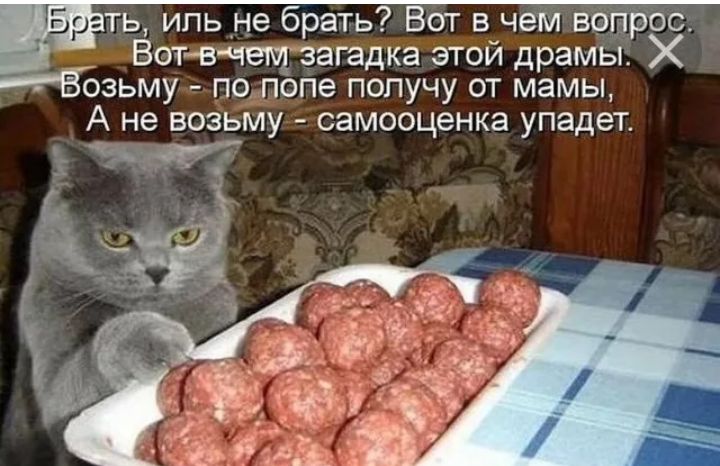 ть ипь не брать Вотвччігщзагадка этой драмы возьму по попе попучу от мамы Бр А не возьму самооценка упадет