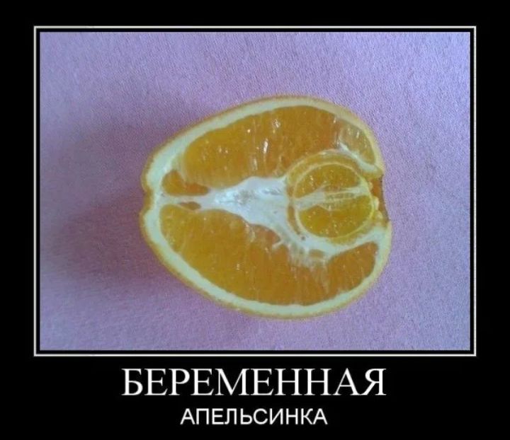 БЕРЕМЕННАЯ АПЕЛЬСИНКА